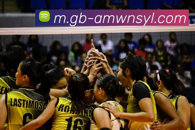 App Interface Preview