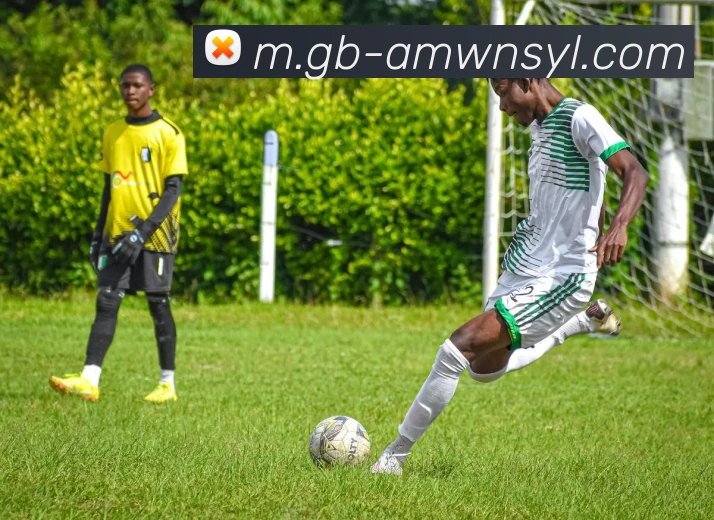 威尼斯人官网APP 封面图